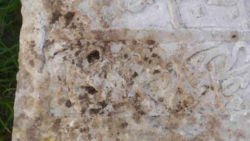 Deprem bölgesinde ilan verildi: Polis harekete geçti…